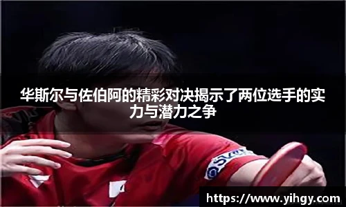 zoty中欧