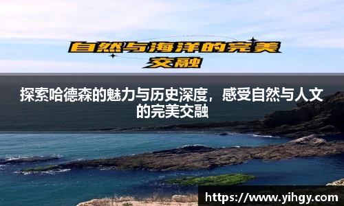 zoty中欧集团
