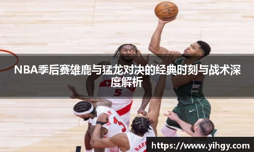 zoty中欧