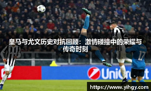zoty中欧体